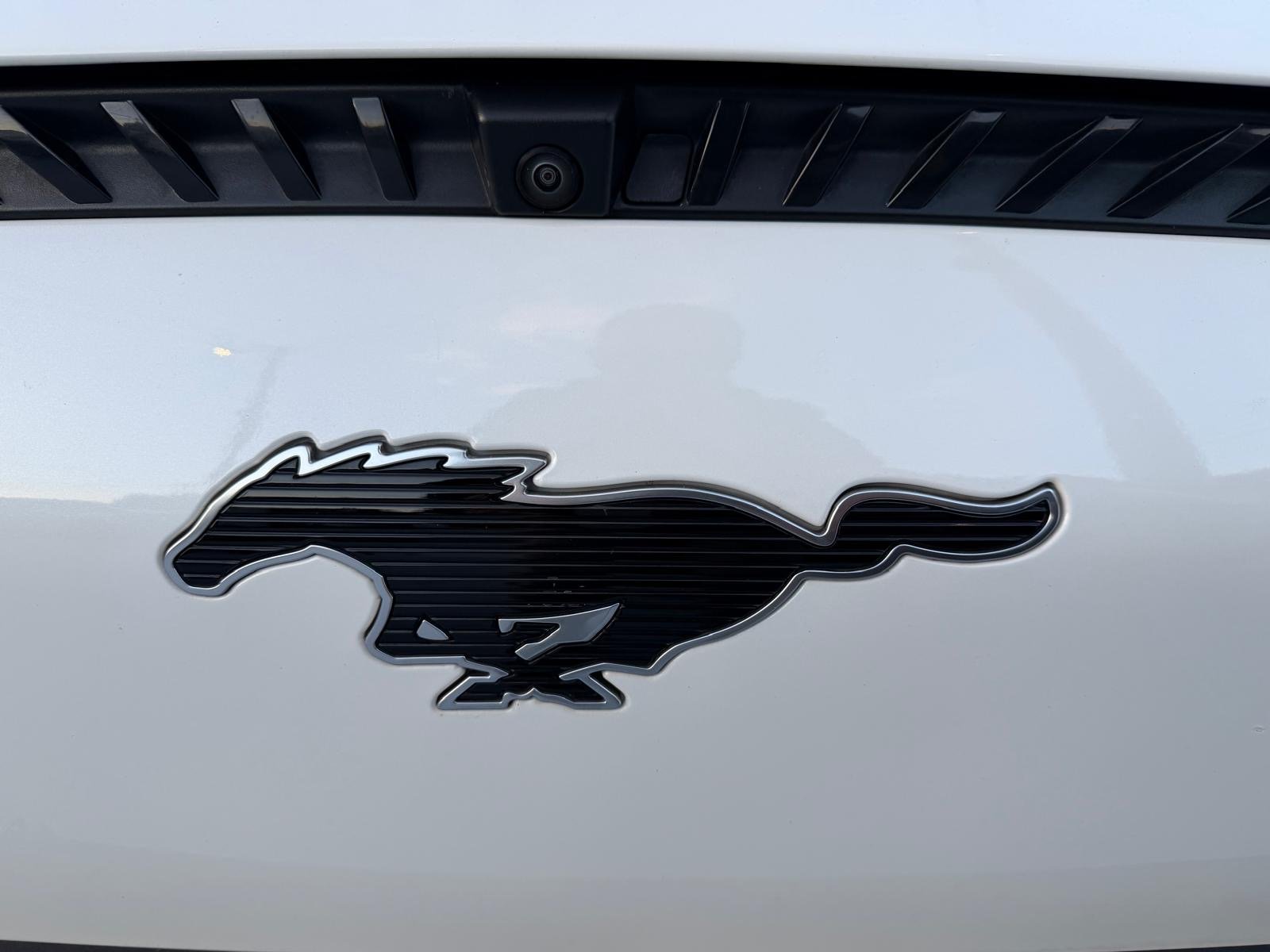 Ford Mustang Mach-E Standard - imagem 14