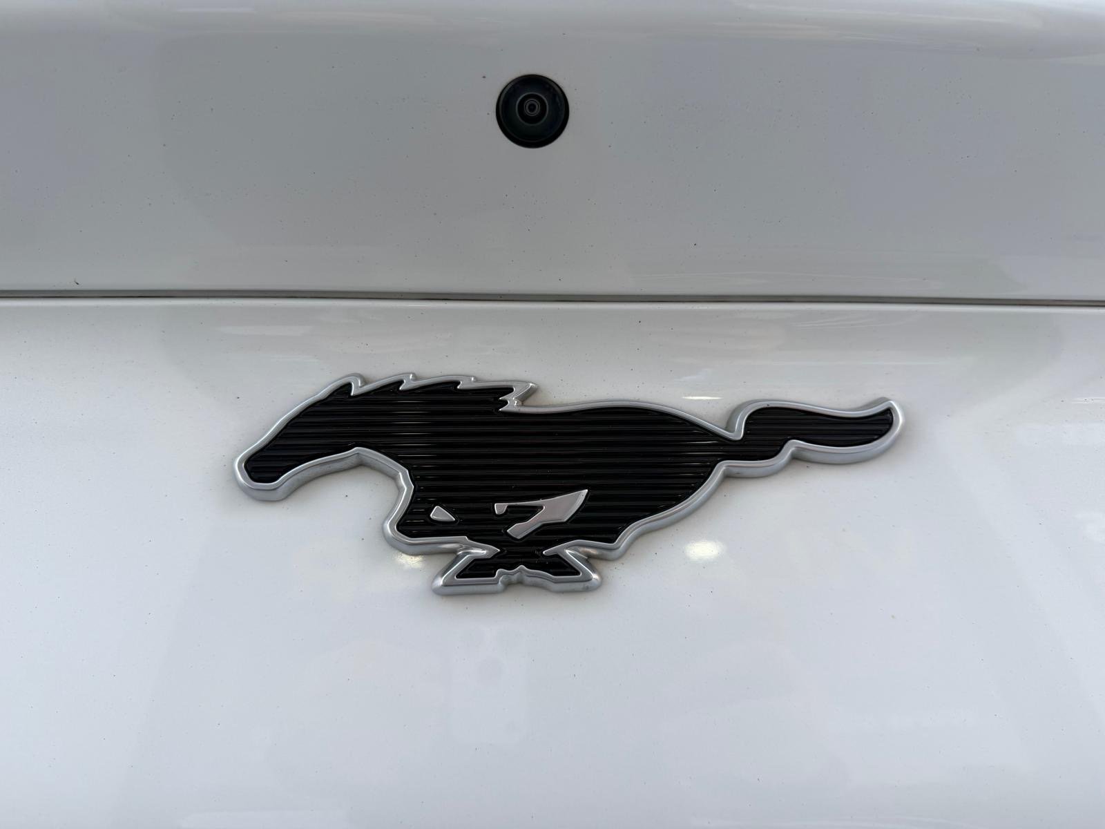 Ford Mustang Mach-E Standard - imagem 23